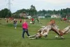 U10 - Soccerpark und Zeltfest Bild 68