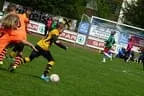 U11 - Hervis Cup Bild 22