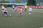 U12 - Coca Cola Cup Kematen Bild 52