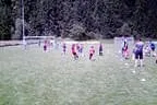 U8 Abschlußturnier Juni 2011 Bild 85