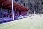 U8 Abschlußturnier Juni 2011 Bild 75