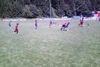 U8 Abschlußturnier Juni 2011 Bild 74