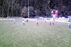 U8 Abschlußturnier Juni 2011 Bild 50
